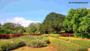 Government Herbal Farm