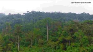 Krishnagiri Forest 