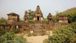 Polo Forest