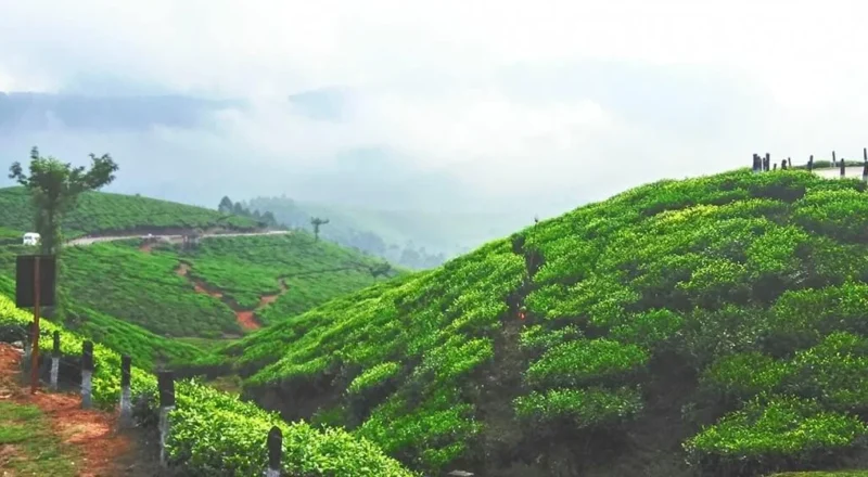 Yelagiri Hills