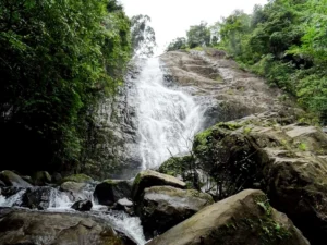 Thusharagiri Waterfalls